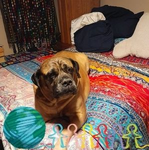 Meet your Posher, Lori